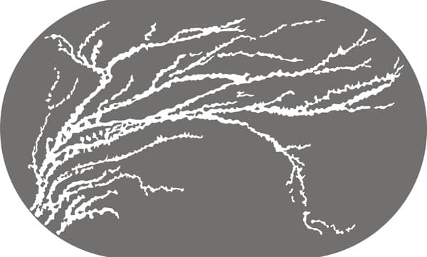 <span  class="uc_style_uc_tiles_grid_image_elementor_uc_items_attribute_title" style="color:#ffffff;">Рисунок-12185</span>