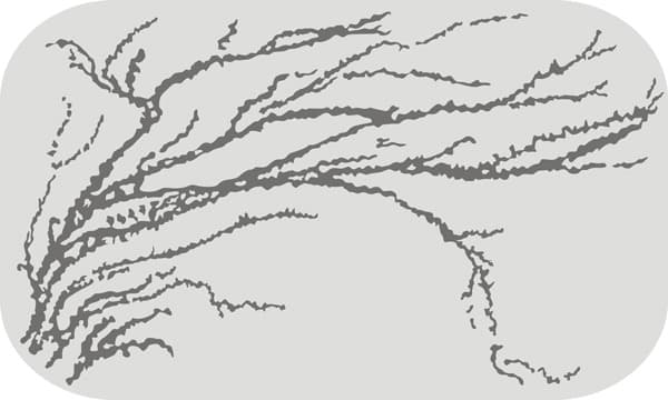 <span  class="uc_style_uc_tiles_grid_image_elementor_uc_items_attribute_title" style="color:#ffffff;">Рисунок-12186</span>