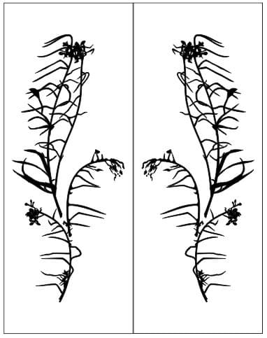 <span  class="uc_style_uc_tiles_grid_image_elementor_uc_items_attribute_title" style="color:#ffffff;">Рисунок-4877</span>