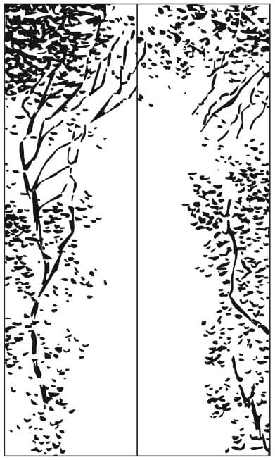 <span  class="uc_style_uc_tiles_grid_image_elementor_uc_items_attribute_title" style="color:#ffffff;">Рисунок-5135</span>