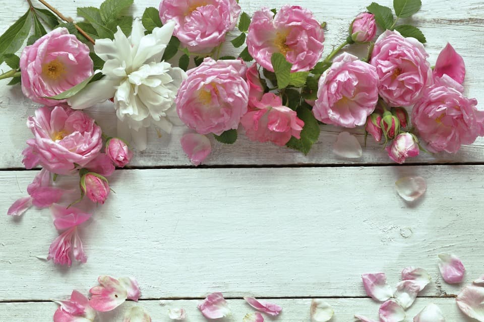 <span  class="uc_style_uc_tiles_grid_image_elementor_uc_items_attribute_title" style="color:#ffffff;">3138</span>