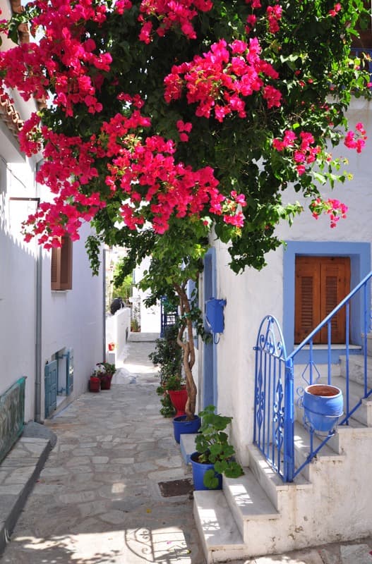 <span  class="uc_style_uc_tiles_grid_image_elementor_uc_items_attribute_title" style="color:#ffffff;">0248</span>