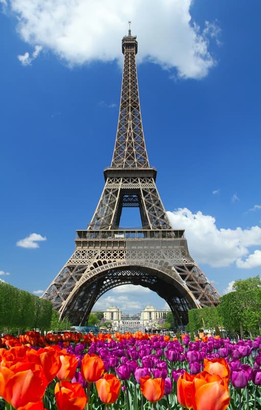 <span  class="uc_style_uc_tiles_grid_image_elementor_uc_items_attribute_title" style="color:#ffffff;">0286</span>
