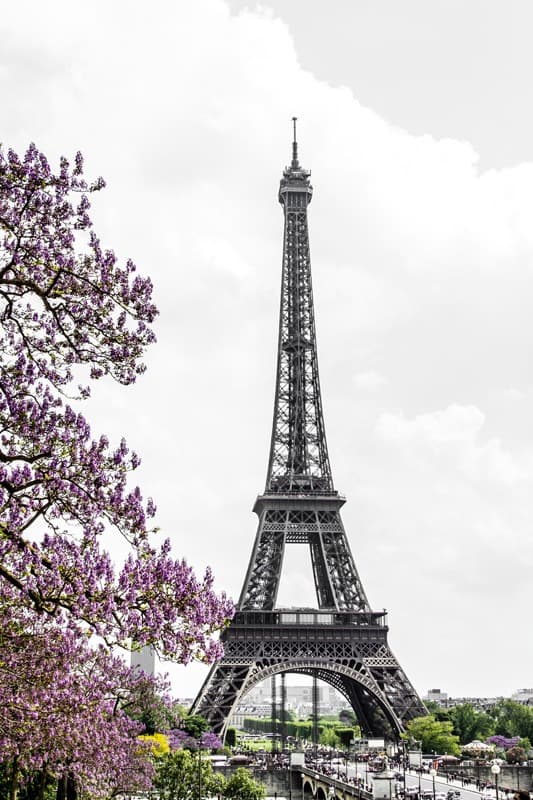 <span  class="uc_style_uc_tiles_grid_image_elementor_uc_items_attribute_title" style="color:#ffffff;">0330</span>