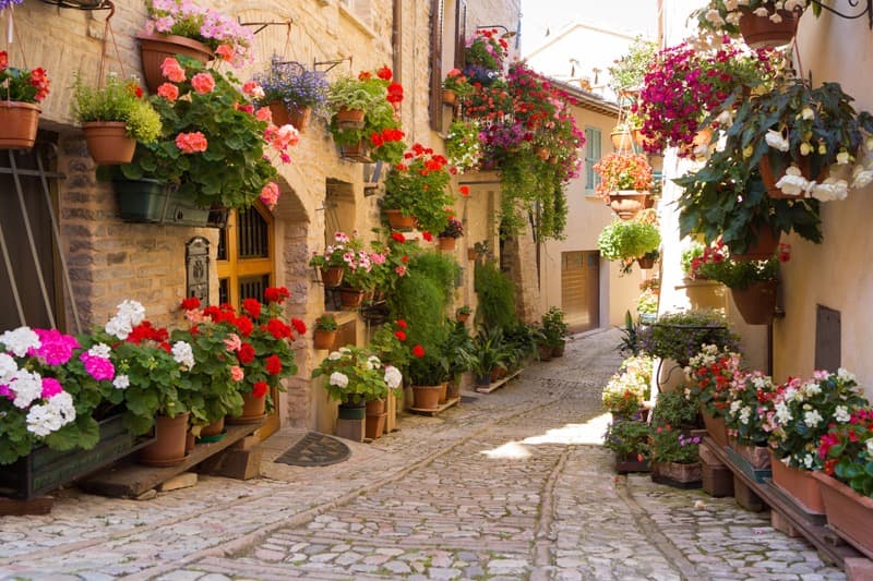 <span  class="uc_style_uc_tiles_grid_image_elementor_uc_items_attribute_title" style="color:#ffffff;">0339</span>