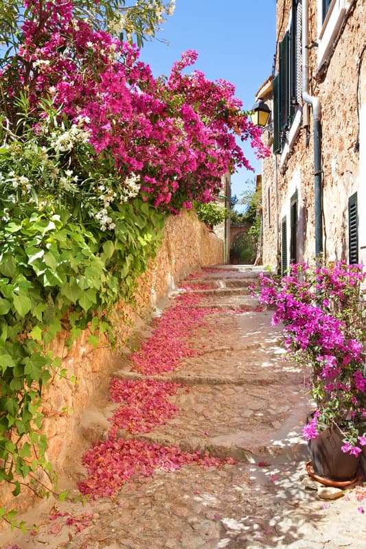 <span  class="uc_style_uc_tiles_grid_image_elementor_uc_items_attribute_title" style="color:#ffffff;">0452</span>