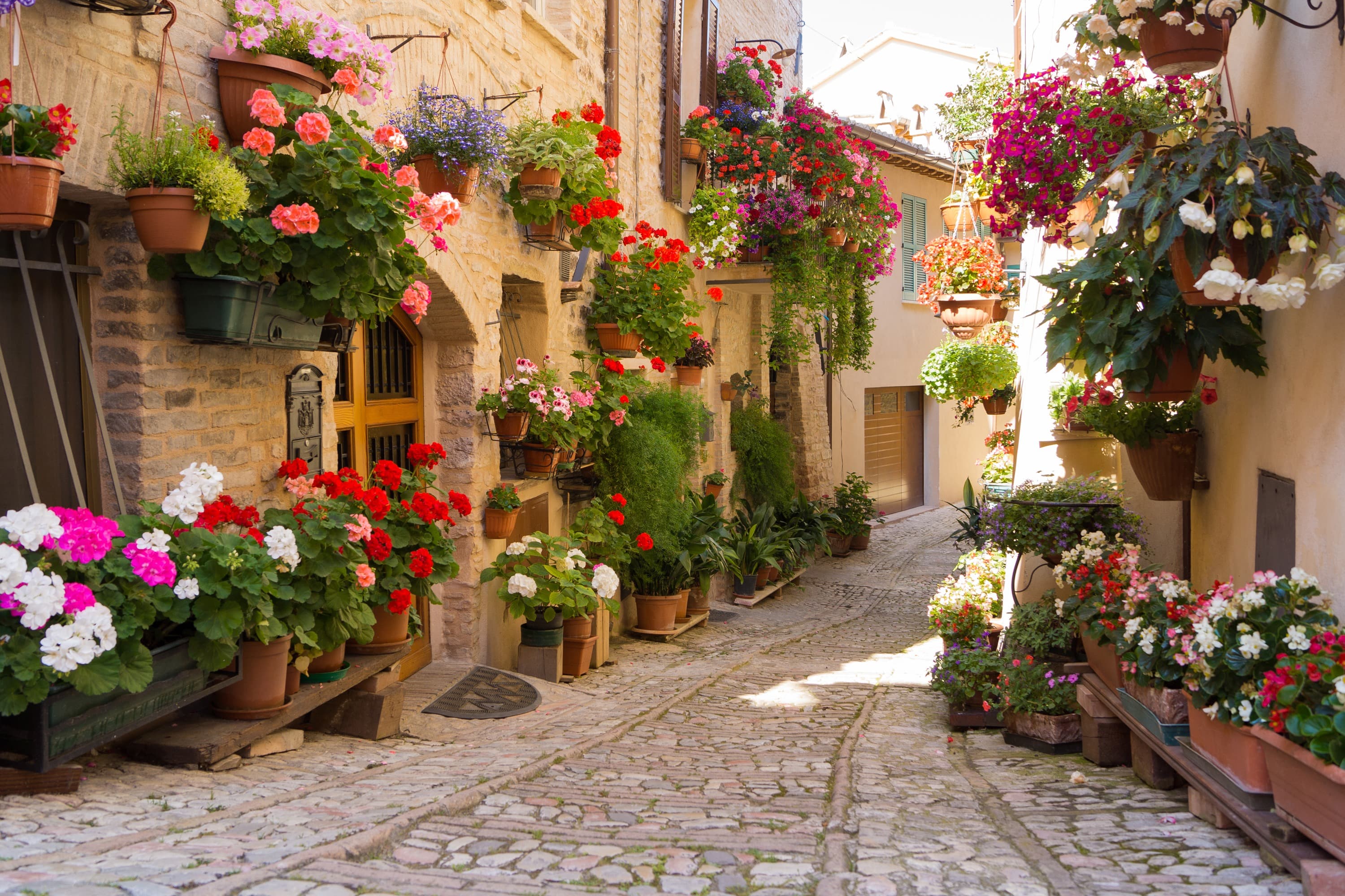 <span  class="uc_style_uc_tiles_grid_image_elementor_uc_items_attribute_title" style="color:#ffffff;">3197 (2)</span>