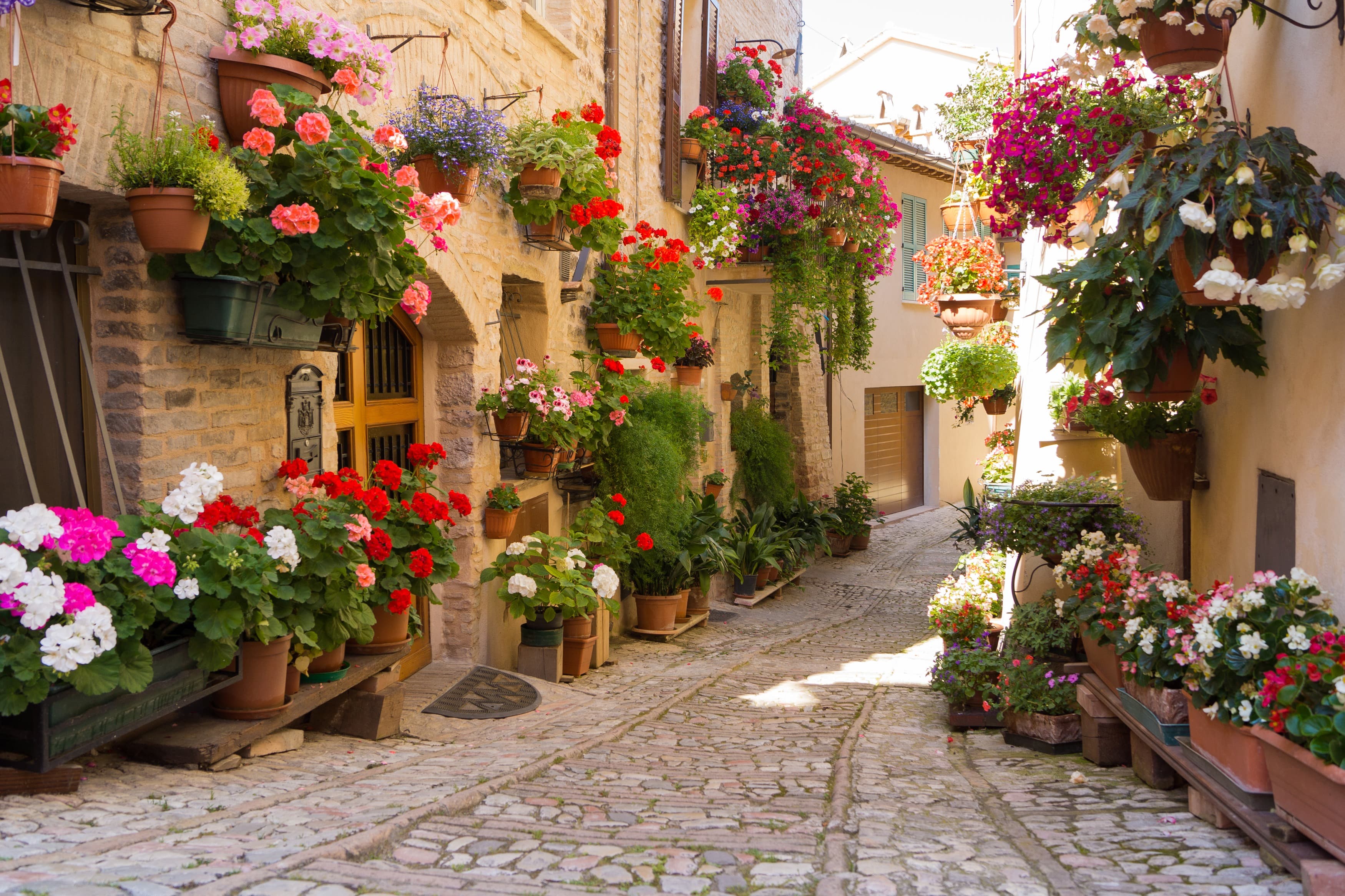 <span  class="uc_style_uc_tiles_grid_image_elementor_uc_items_attribute_title" style="color:#ffffff;">3463</span>