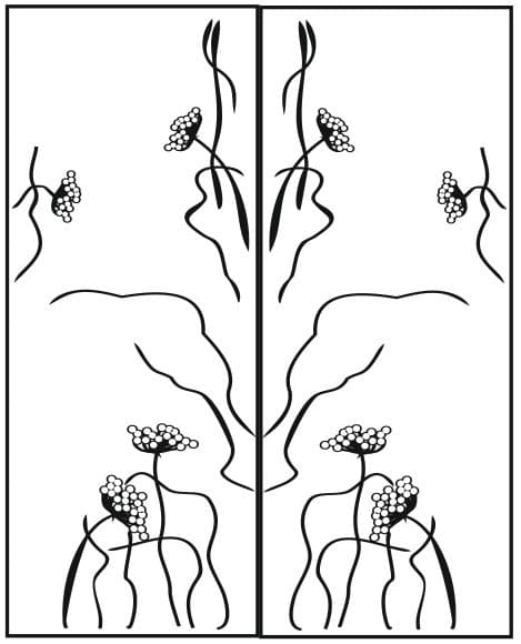 <span  class="uc_style_uc_tiles_grid_image_elementor_uc_items_attribute_title" style="color:#ffffff;">Рисунок-10556</span>
