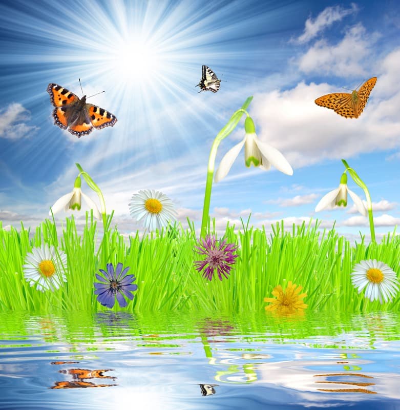 <span  class="uc_style_uc_tiles_grid_image_elementor_uc_items_attribute_title" style="color:#ffffff;">0588</span>