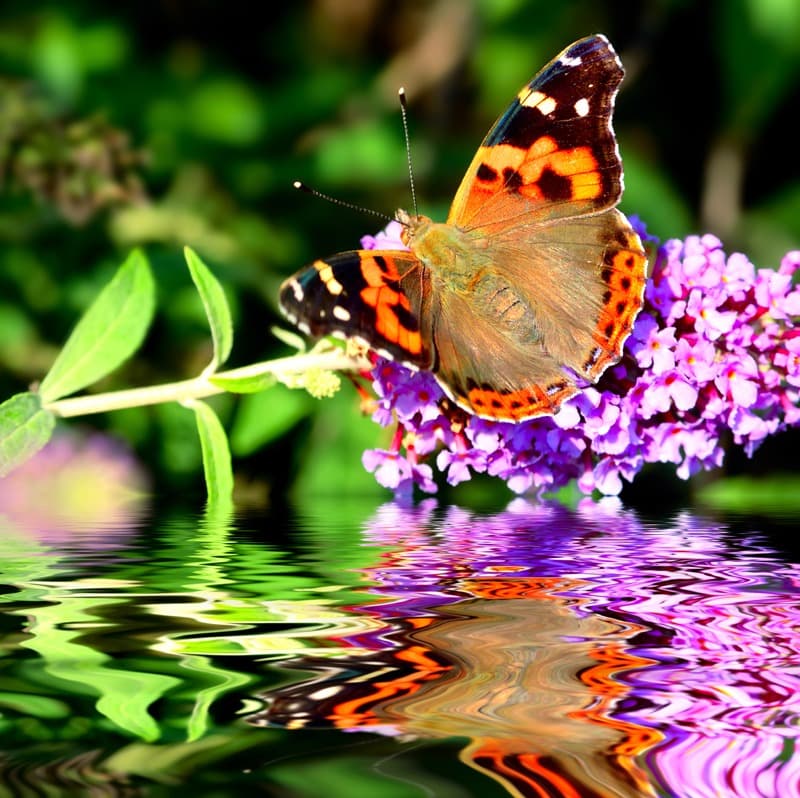 <span  class="uc_style_uc_tiles_grid_image_elementor_uc_items_attribute_title" style="color:#ffffff;">0596</span>