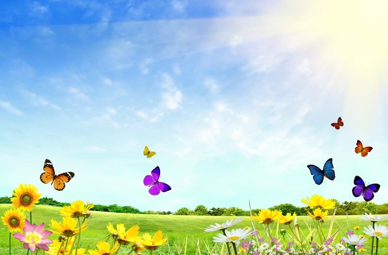 <span  class="uc_style_uc_tiles_grid_image_elementor_uc_items_attribute_title" style="color:#ffffff;">0599</span>