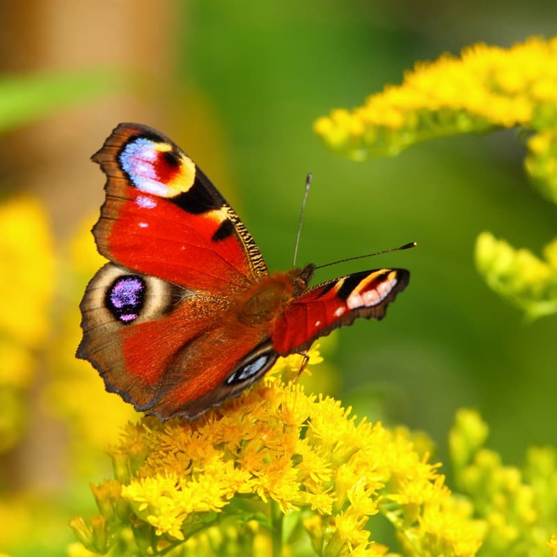 <span  class="uc_style_uc_tiles_grid_image_elementor_uc_items_attribute_title" style="color:#ffffff;">0605</span>