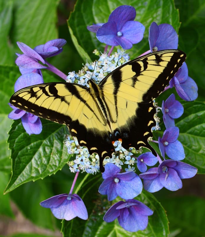 <span  class="uc_style_uc_tiles_grid_image_elementor_uc_items_attribute_title" style="color:#ffffff;">0606</span>