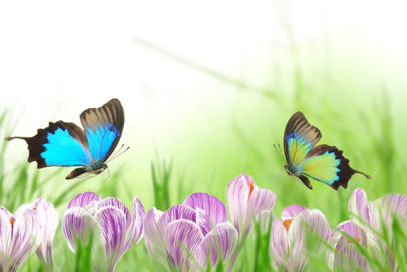 <span  class="uc_style_uc_tiles_grid_image_elementor_uc_items_attribute_title" style="color:#ffffff;">0609</span>