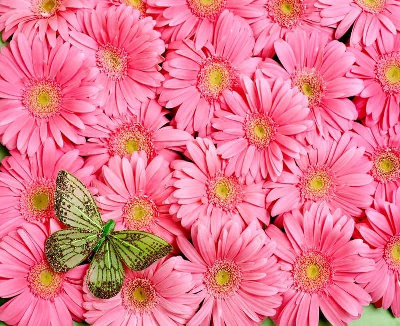 <span  class="uc_style_uc_tiles_grid_image_elementor_uc_items_attribute_title" style="color:#ffffff;">0612</span>