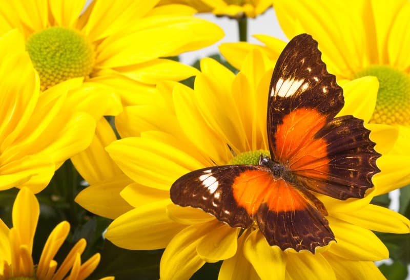<span  class="uc_style_uc_tiles_grid_image_elementor_uc_items_attribute_title" style="color:#ffffff;">0613</span>