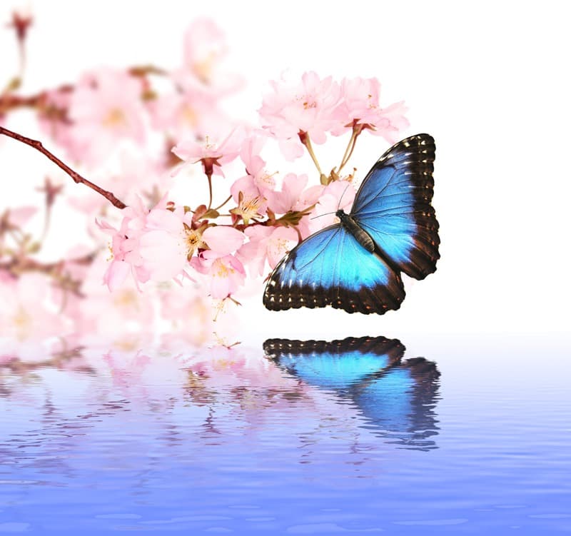<span  class="uc_style_uc_tiles_grid_image_elementor_uc_items_attribute_title" style="color:#ffffff;">0615</span>