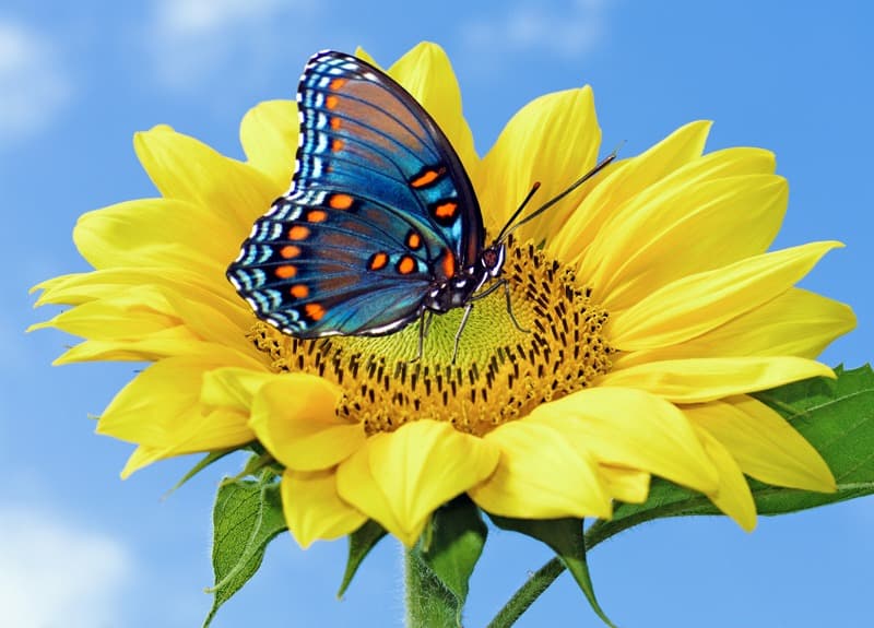 <span  class="uc_style_uc_tiles_grid_image_elementor_uc_items_attribute_title" style="color:#ffffff;">0617</span>