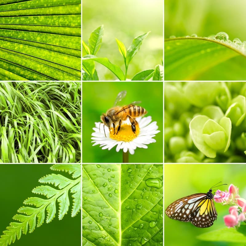 <span  class="uc_style_uc_tiles_grid_image_elementor_uc_items_attribute_title" style="color:#ffffff;">0618</span>