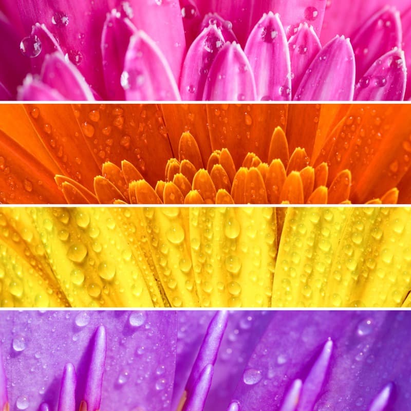 <span  class="uc_style_uc_tiles_grid_image_elementor_uc_items_attribute_title" style="color:#ffffff;">0619</span>