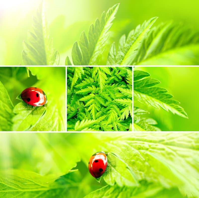 <span  class="uc_style_uc_tiles_grid_image_elementor_uc_items_attribute_title" style="color:#ffffff;">0620</span>