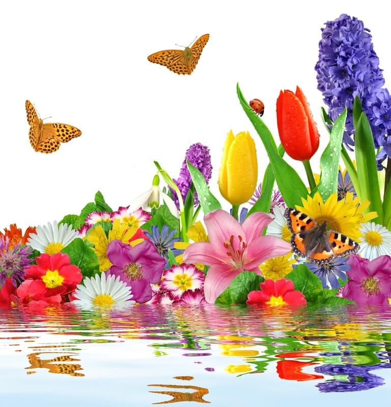 <span  class="uc_style_uc_tiles_grid_image_elementor_uc_items_attribute_title" style="color:#ffffff;">0622</span>