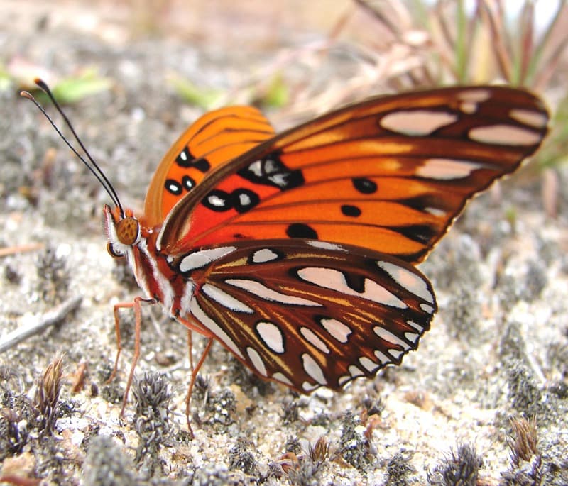 <span  class="uc_style_uc_tiles_grid_image_elementor_uc_items_attribute_title" style="color:#ffffff;">0623</span>