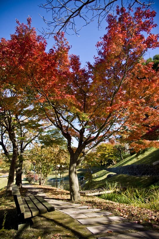 <span  class="uc_style_uc_tiles_grid_image_elementor_uc_items_attribute_title" style="color:#ffffff;">0820</span>