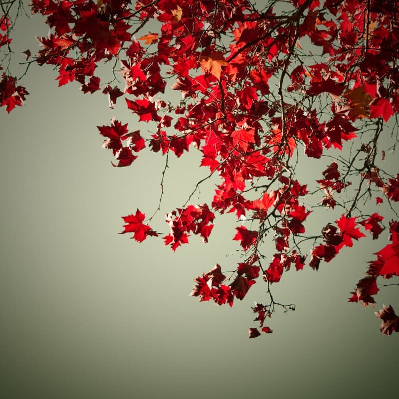 <span  class="uc_style_uc_tiles_grid_image_elementor_uc_items_attribute_title" style="color:#ffffff;">0827</span>