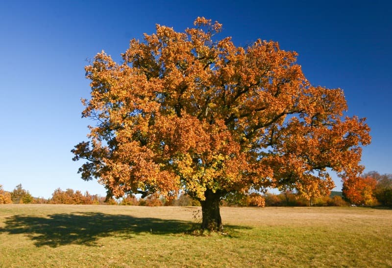 <span  class="uc_style_uc_tiles_grid_image_elementor_uc_items_attribute_title" style="color:#ffffff;">0835</span>