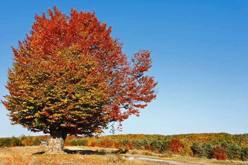 <span  class="uc_style_uc_tiles_grid_image_elementor_uc_items_attribute_title" style="color:#ffffff;">0854</span>
