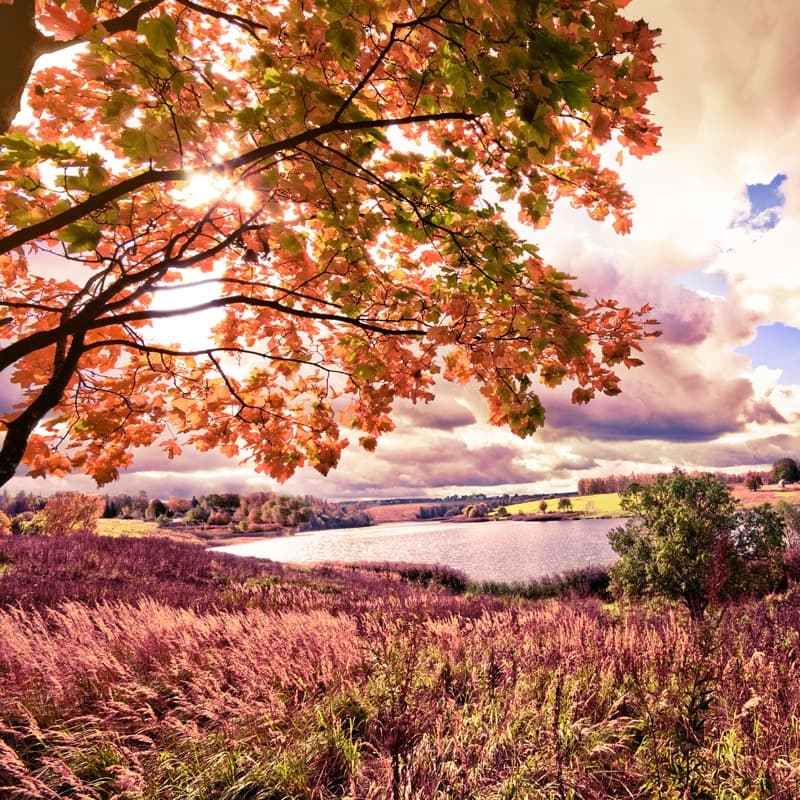 <span  class="uc_style_uc_tiles_grid_image_elementor_uc_items_attribute_title" style="color:#ffffff;">0857</span>