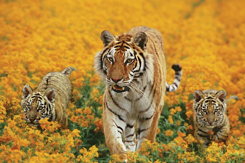 <span  class="uc_style_uc_tiles_grid_image_elementor_uc_items_attribute_title" style="color:#ffffff;">0916</span>
