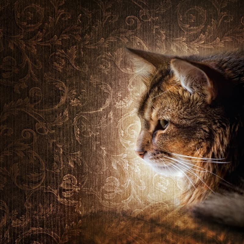 <span  class="uc_style_uc_tiles_grid_image_elementor_uc_items_attribute_title" style="color:#ffffff;">0942</span>