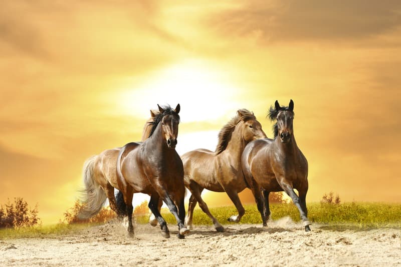 <span  class="uc_style_uc_tiles_grid_image_elementor_uc_items_attribute_title" style="color:#ffffff;">0944</span>