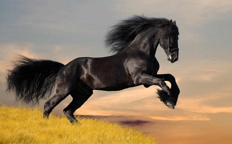 <span  class="uc_style_uc_tiles_grid_image_elementor_uc_items_attribute_title" style="color:#ffffff;">0980</span>