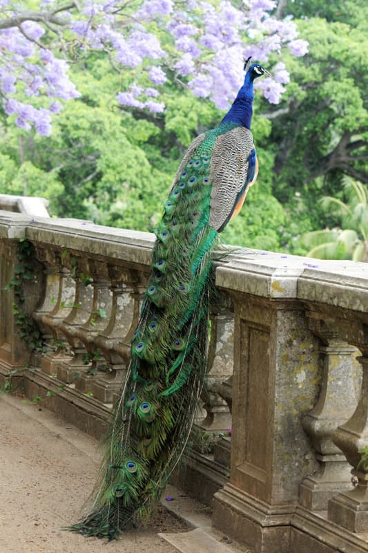 <span  class="uc_style_uc_tiles_grid_image_elementor_uc_items_attribute_title" style="color:#ffffff;">1011</span>