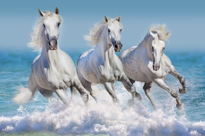 <span  class="uc_style_uc_tiles_grid_image_elementor_uc_items_attribute_title" style="color:#ffffff;">1038</span>