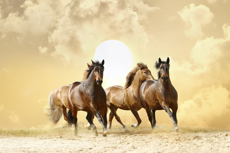 <span  class="uc_style_uc_tiles_grid_image_elementor_uc_items_attribute_title" style="color:#ffffff;">1074</span>