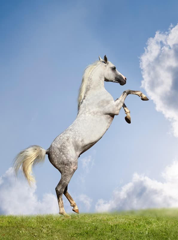 <span  class="uc_style_uc_tiles_grid_image_elementor_uc_items_attribute_title" style="color:#ffffff;">1076</span>