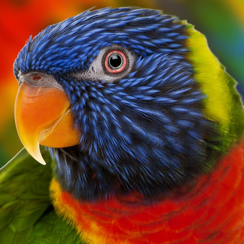 <span  class="uc_style_uc_tiles_grid_image_elementor_uc_items_attribute_title" style="color:#ffffff;">1081</span>