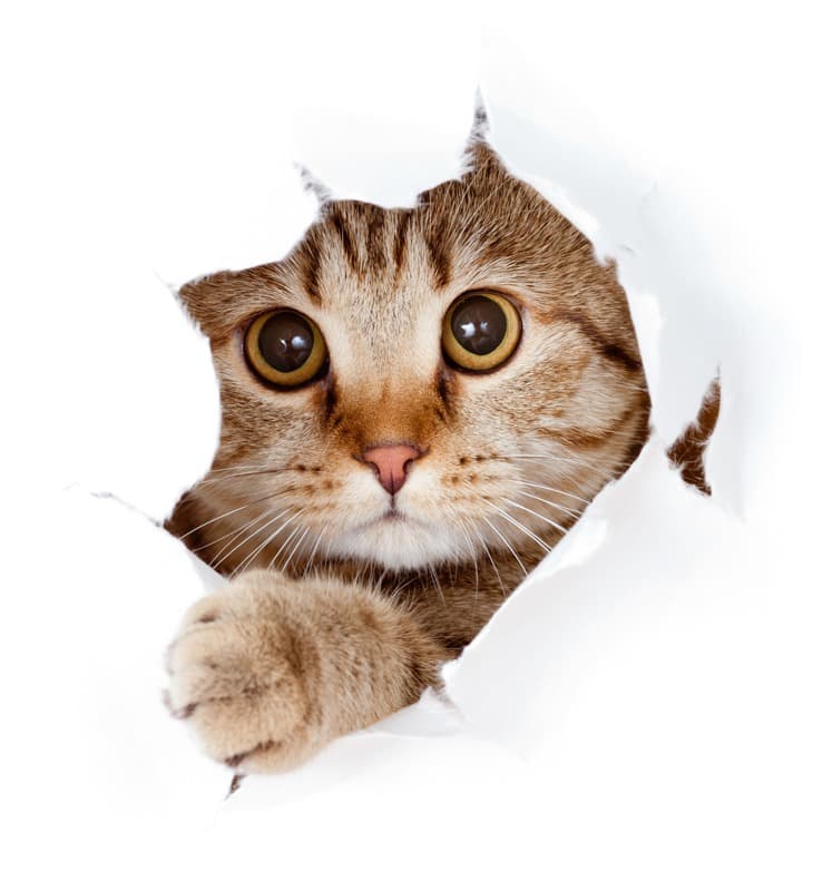 <span  class="uc_style_uc_tiles_grid_image_elementor_uc_items_attribute_title" style="color:#ffffff;">1083</span>