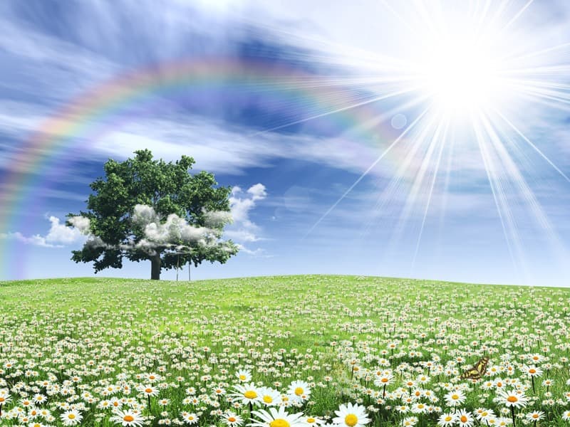 <span  class="uc_style_uc_tiles_grid_image_elementor_uc_items_attribute_title" style="color:#ffffff;">1093</span>