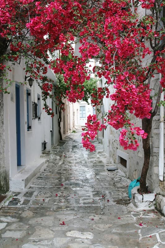 <span  class="uc_style_uc_tiles_grid_image_elementor_uc_items_attribute_title" style="color:#ffffff;">1123</span>