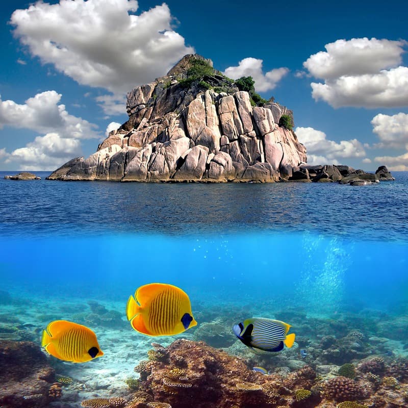<span  class="uc_style_uc_tiles_grid_image_elementor_uc_items_attribute_title" style="color:#ffffff;">1252</span>