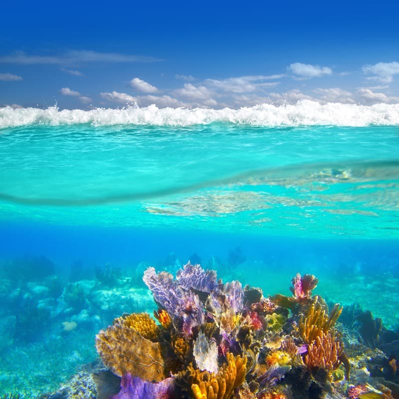 <span  class="uc_style_uc_tiles_grid_image_elementor_uc_items_attribute_title" style="color:#ffffff;">1346</span>