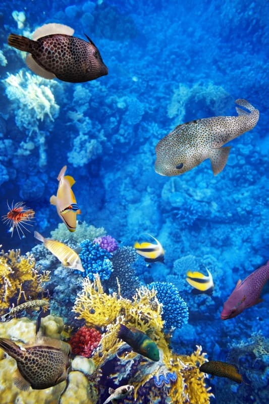 <span  class="uc_style_uc_tiles_grid_image_elementor_uc_items_attribute_title" style="color:#ffffff;">1401</span>