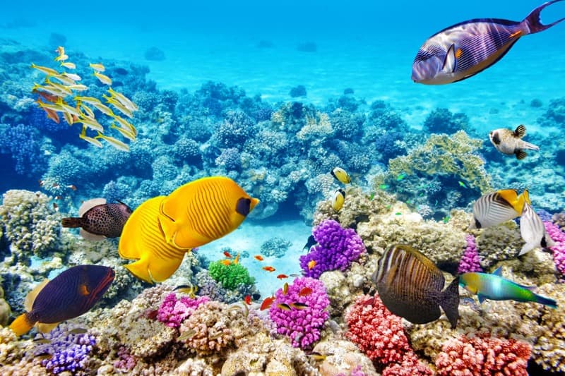 <span  class="uc_style_uc_tiles_grid_image_elementor_uc_items_attribute_title" style="color:#ffffff;">1402</span>