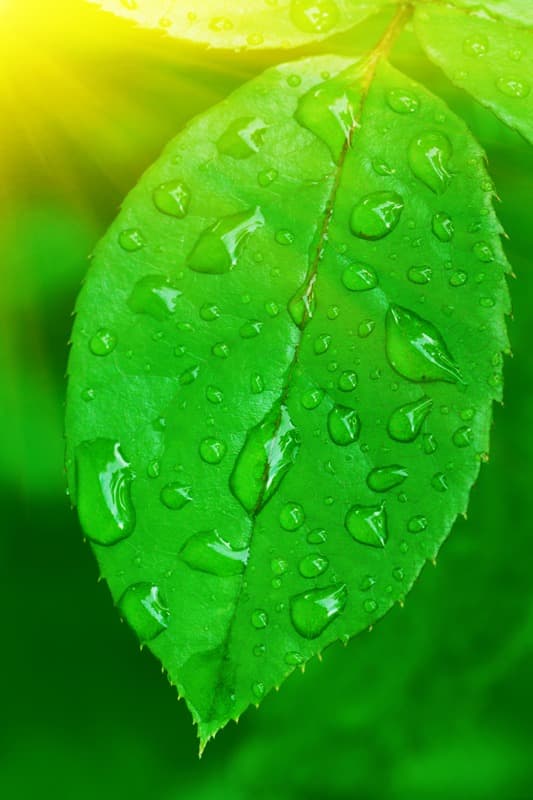 <span  class="uc_style_uc_tiles_grid_image_elementor_uc_items_attribute_title" style="color:#ffffff;">1512</span>